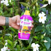 Espoma Organic Bloom! Super Blossom Bloomer