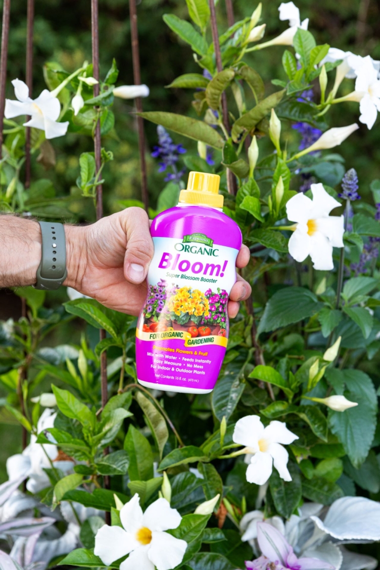 Espoma Organic Bloom! Super Blossom Bloomer