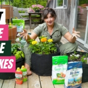 Growing Joy with Maria - 6 patio/container garden mistakes