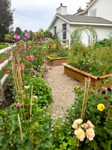 Skye Hamilton Garden