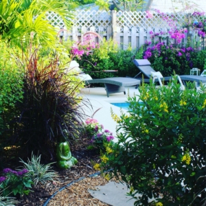 Backyard Landscaping and Pool