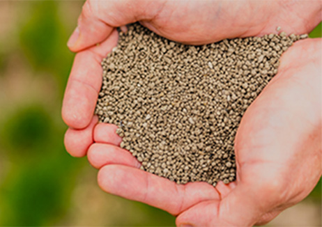 Showing perfectly prilled fertilizer