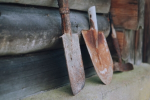 rusted shovel heads