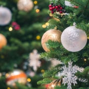 evergreen, Christmas ornaments