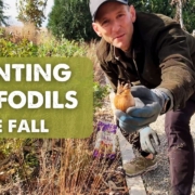 Kaleb Wyse showing a daffodil bulb