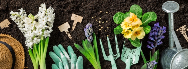 seed starting, sowing seeds, shovels, gloves, flowers