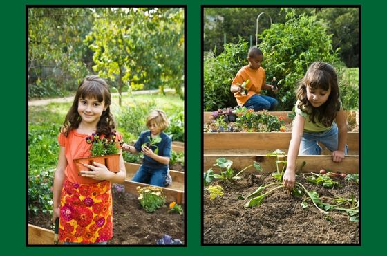 Kids Gardening