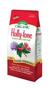 Holly-tone bag